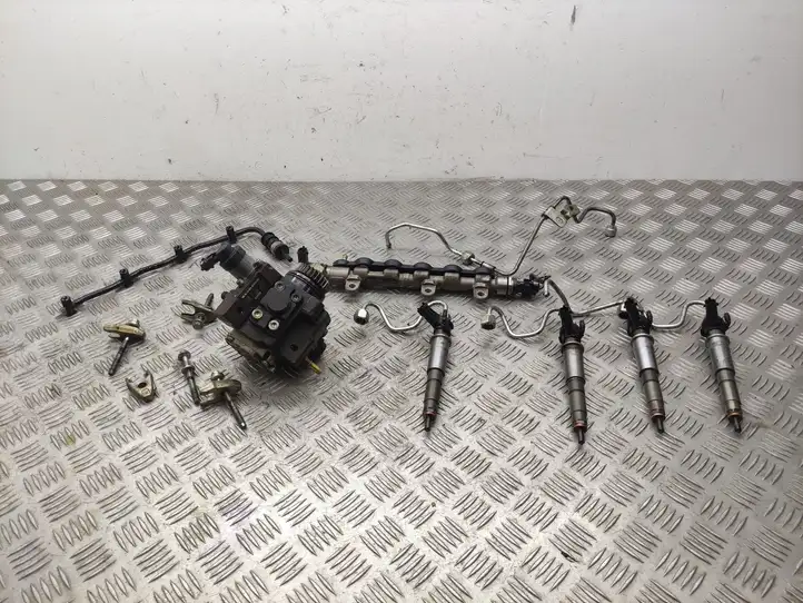 Nissan Qashqai (2010 - 2013) 0445115007 Комплект системы впрыска — фото 1