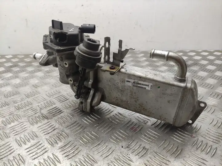 Seat Exeo (3R) (2008 - 2013) V29009967 Охладитель клапана EGR — фото 3