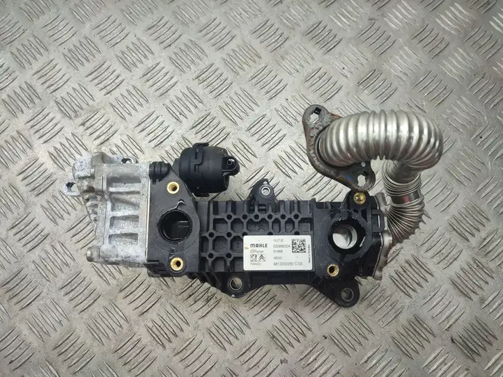 Peugeot 2008 II (2019 - ) 9813050280 Охладитель клапана EGR — фото 3