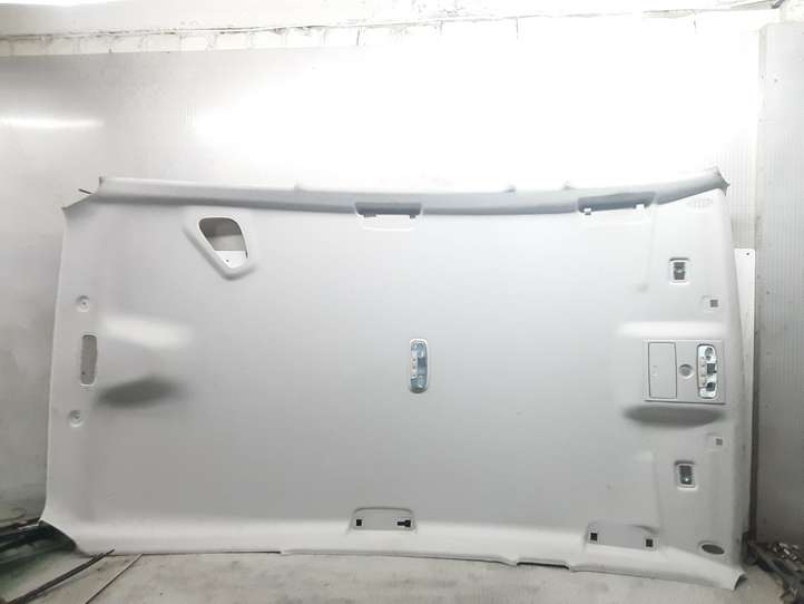 Ford S-Max (2006 - 2010)   Потолок