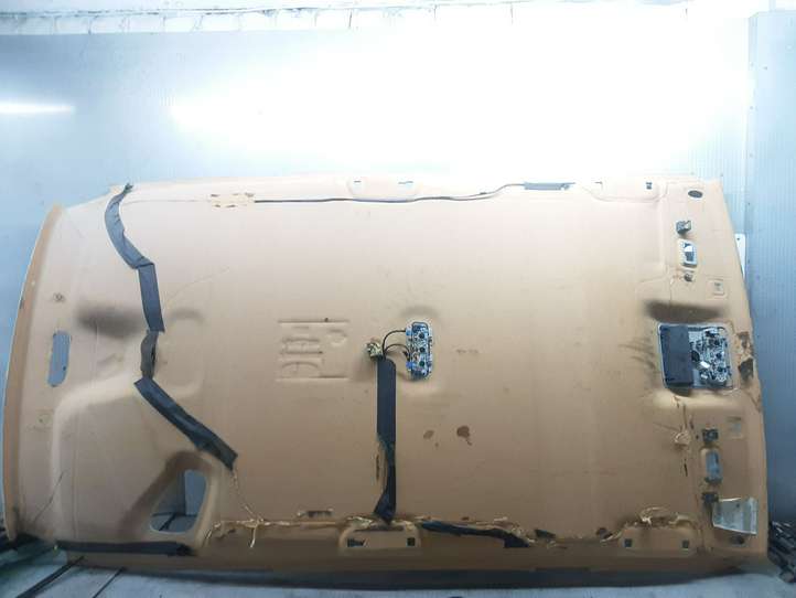 Ford S-Max (2006 - 2010)   Потолок