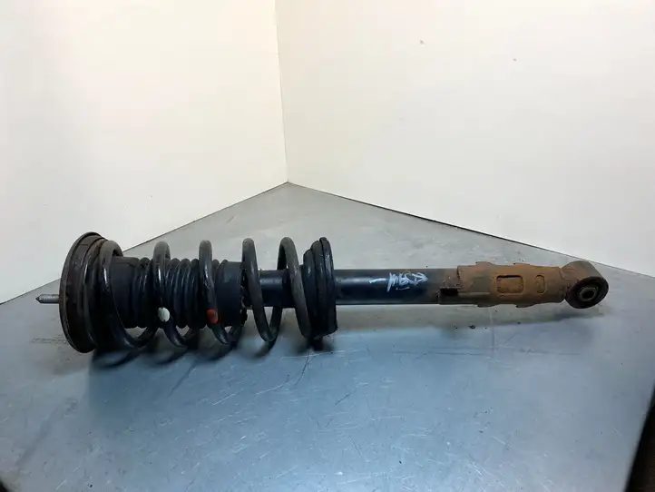 Lexus GS 300 350 430 450h (2004 - 2007) 4851030650 Передний амортизатор — фото 5