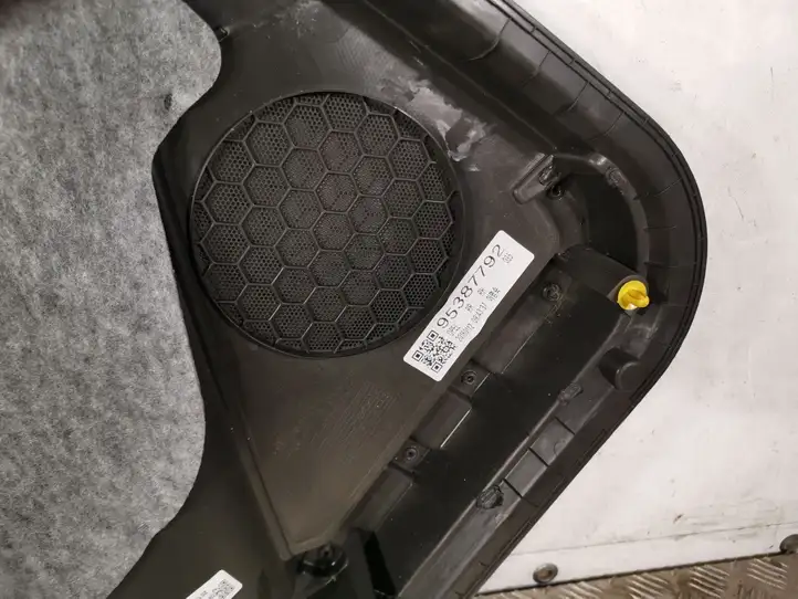 Opel Mokka (2012 - 2016) AVF84543600R Обшивка задней двери — фото 3