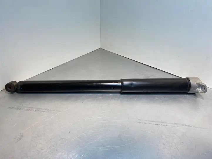Ford C-MAX II (2010 - 2015) FS17709 Задний aмортизатор — фото 1