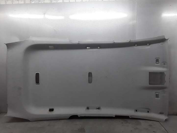 Ford Mondeo MK IV (2007 - 2014)   Потолок