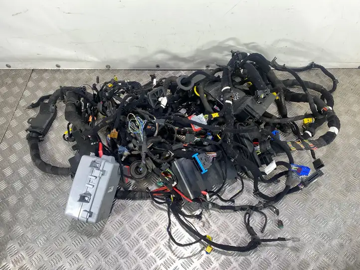 Alfa Romeo Stelvio Type 949 (2017 - ) 005055119920 Прочая электропроводка — фото 1