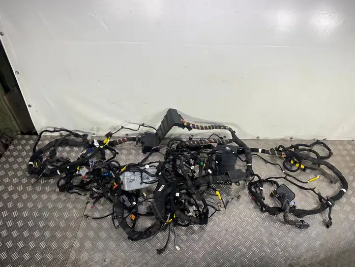 Alfa Romeo Stelvio Type 949 (2017 - ) 005055119920 Прочая электропроводка — фото 2