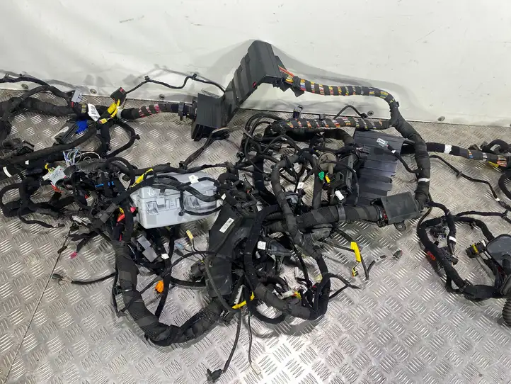 Alfa Romeo Stelvio Type 949 (2017 - ) 005055119920 Прочая электропроводка — фото 4