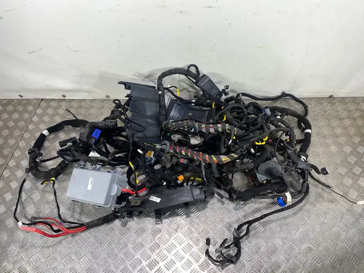 Alfa Romeo Stelvio Type 949 (2017 - ) 005055119920 Прочая электропроводка — фото 15