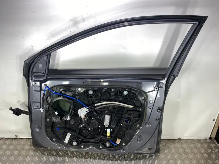 Hyundai Ioniq (2016 - ) Дверь — фото 2