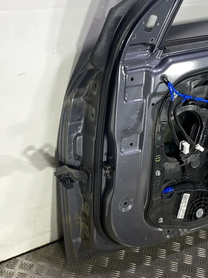 Hyundai Ioniq (2016 - ) Дверь — фото 4