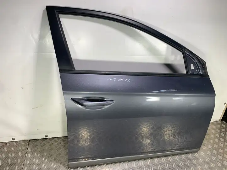 Hyundai Ioniq (2016 - ) Дверь — фото 6