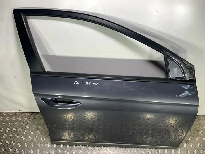 Hyundai Ioniq (2016 - ) Дверь — фото 7