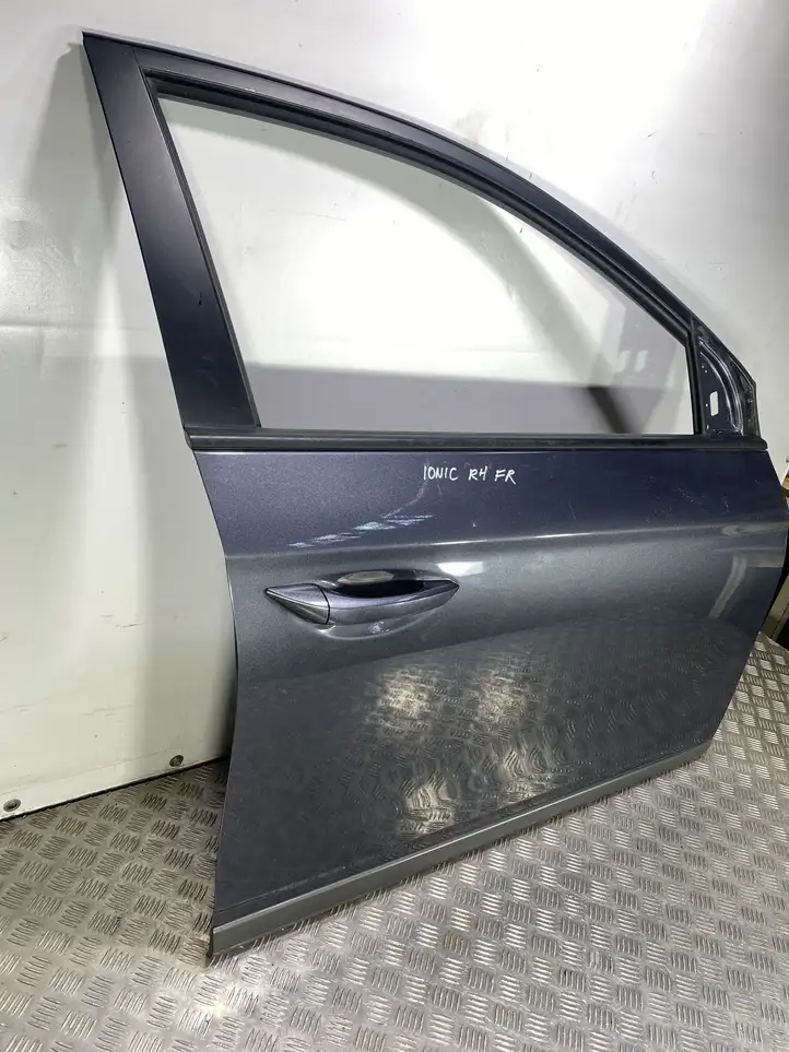 Hyundai Ioniq (2016 - ) Дверь — фото 11