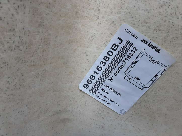 Citroen C4 Picasso (2006 - 2013)  96816380BJ Потолок