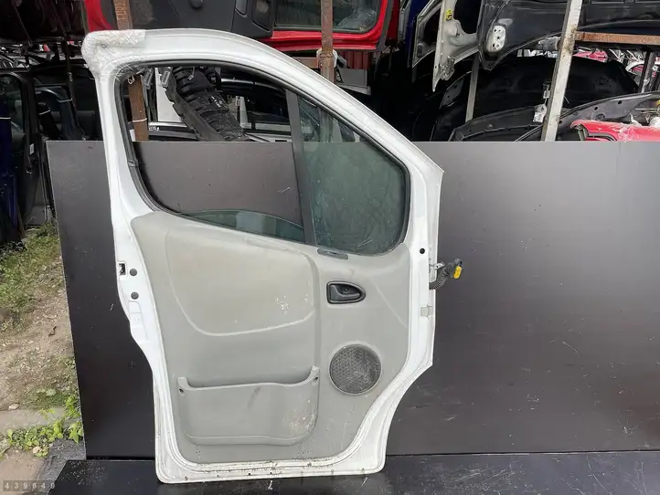 Nissan Primera (2001 - 2008) Дверь — фото 2