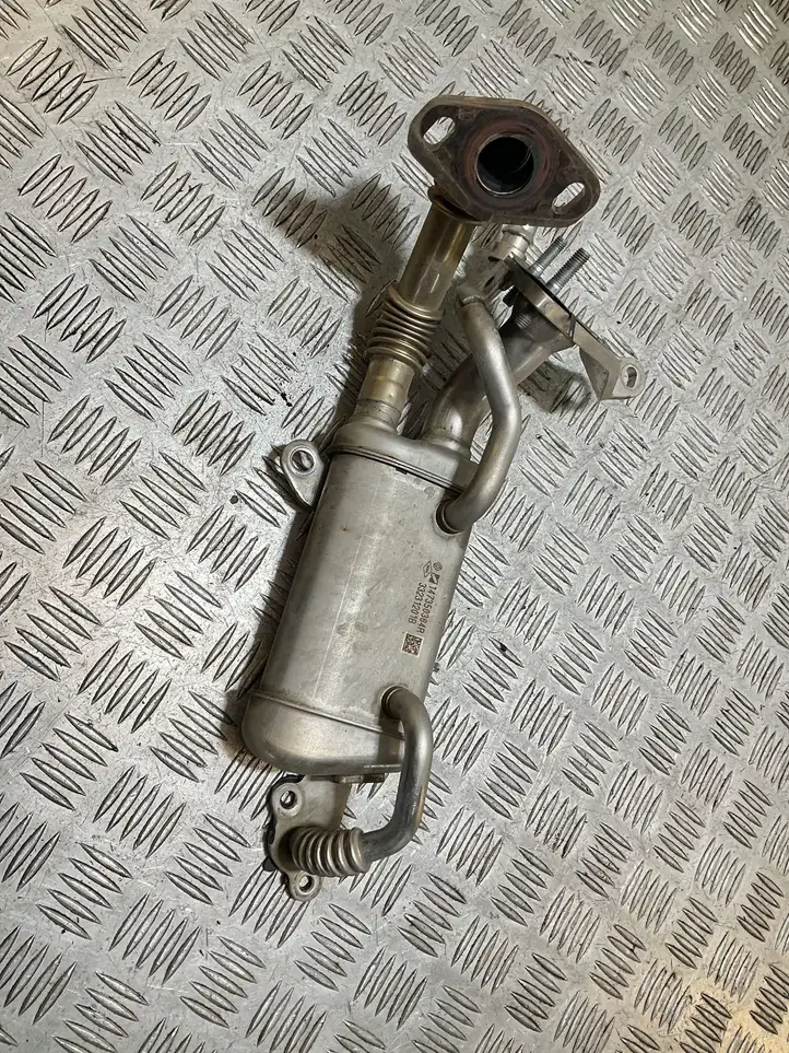 Nissan Juke I F15 (2010 - 2018) 147350364R Охладитель клапана EGR — фото 1