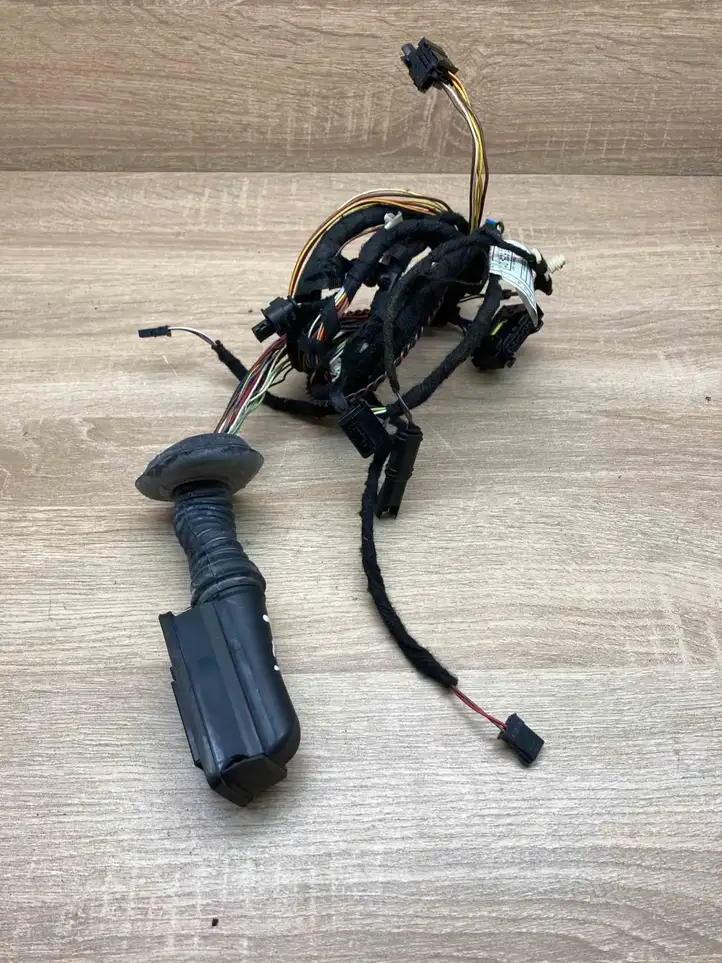 BMW 3 F30 F35 F31 (2012 - 2018) 9313625 Жгут проводов двери — фото 1
