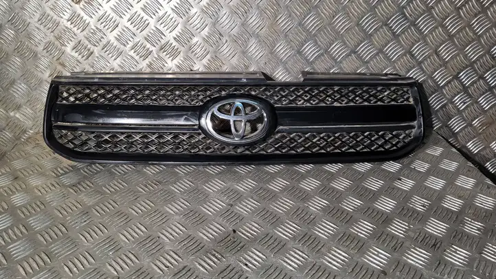 Toyota RAV 4 (XA20) (2000 - 2005) 5310142140 Верхняя решетка радиатора — фото 1