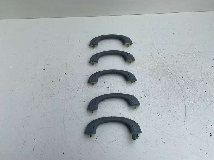 Toyota Previa (XR30, XR40) II (2000 - 2006)  7460344020 Набор ручек для потолка