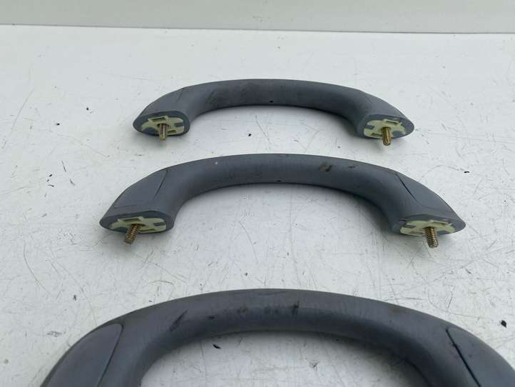 Toyota Previa (XR30, XR40) II (2000 - 2006)  7460344020 Набор ручек для потолка
