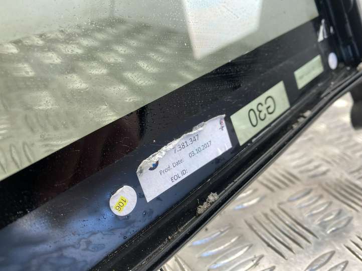 BMW 3 F30 F35 F31 (2012 - 2018)  7381347 Рамка дверного стекла задней двери