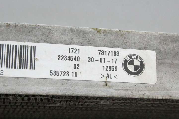 BMW M4 F82 F83 (2014 - 2020)  7317183 Охладитель трансмиссионного масла