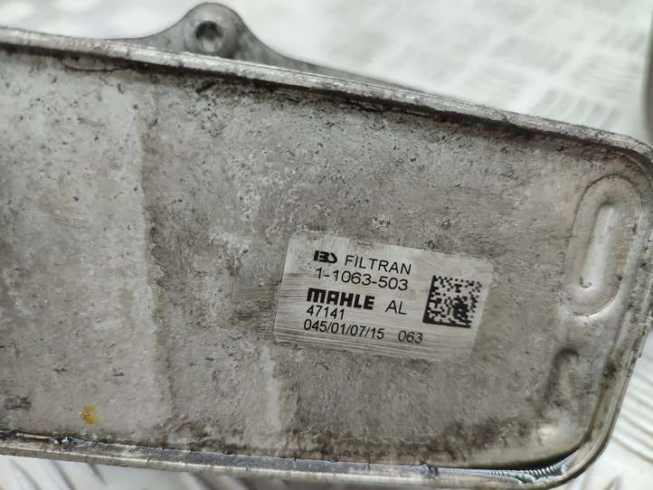Mercedes-Benz CLA  C117,X117,W117 (2013 - 2019)  A2465010501 Охладитель трансмиссионного масла