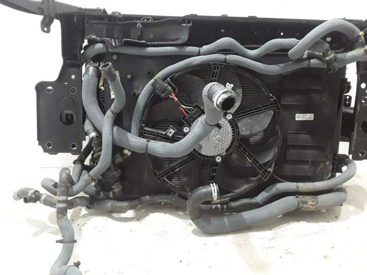 Renault Espace (2019 - )  752101751R Комплект радиаторов
