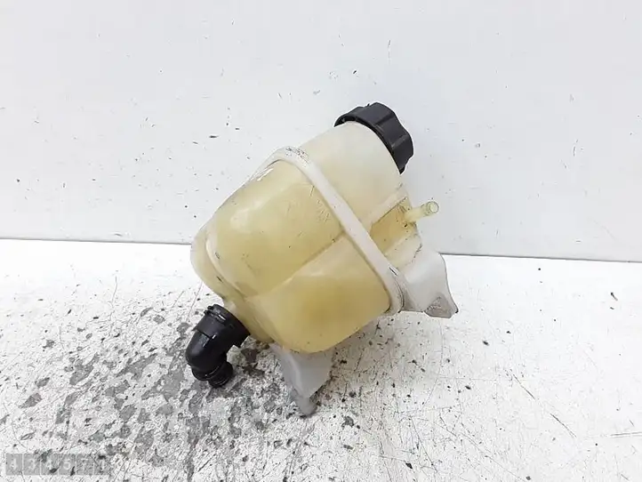 Mini Cooper Countryman R60 (2010 - 2016) 1713782362602 Расширительный бачок — фото 1
