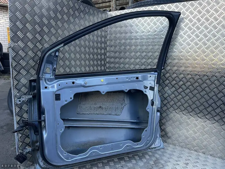 Ford Focus (2005 - 2008) Дверь — фото 2