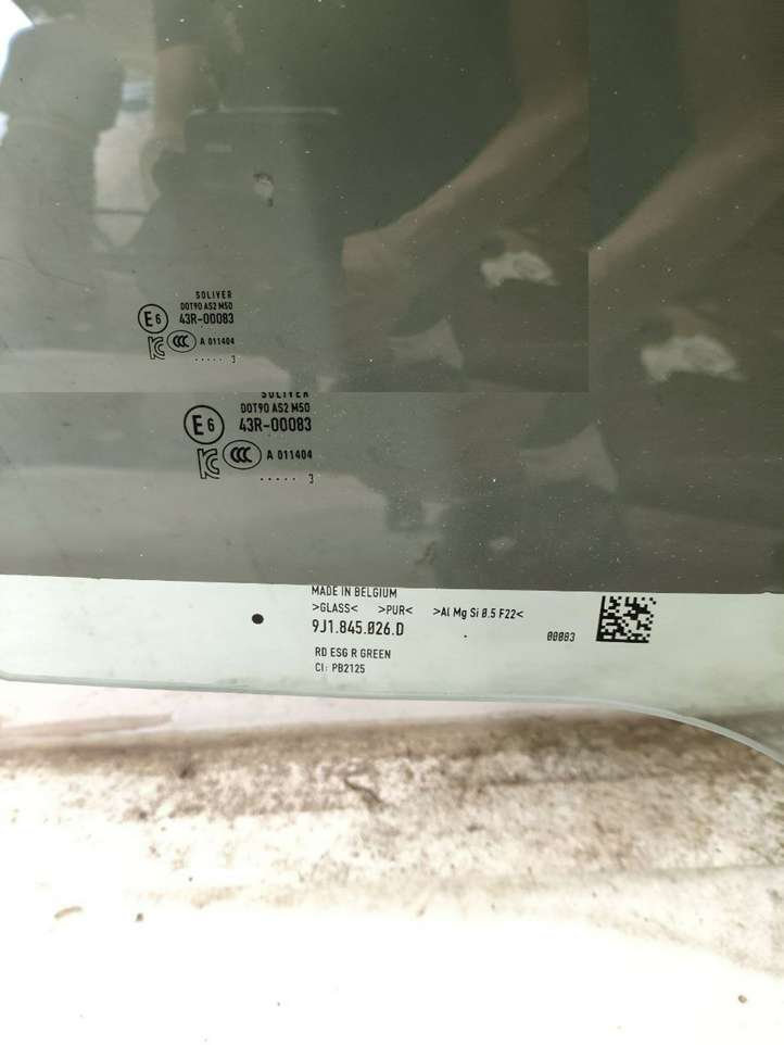 Porsche Taycan 9J1 (2019 - )  9J1845026D Основное стекло задних дверей