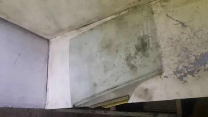 Toyota Corolla Verso E121 (2001 - 2004) DOT23 Стекло задней двери — фото 1