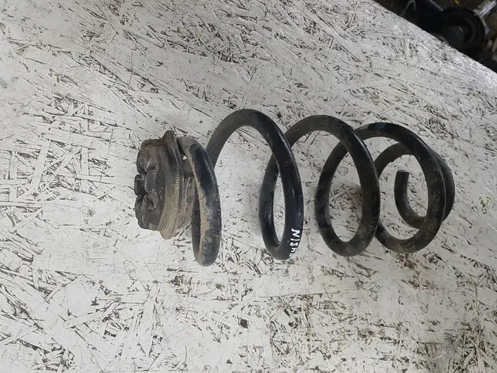Nissan Qashqai (2010 - 2013) Пружина задней подвески — фото 2