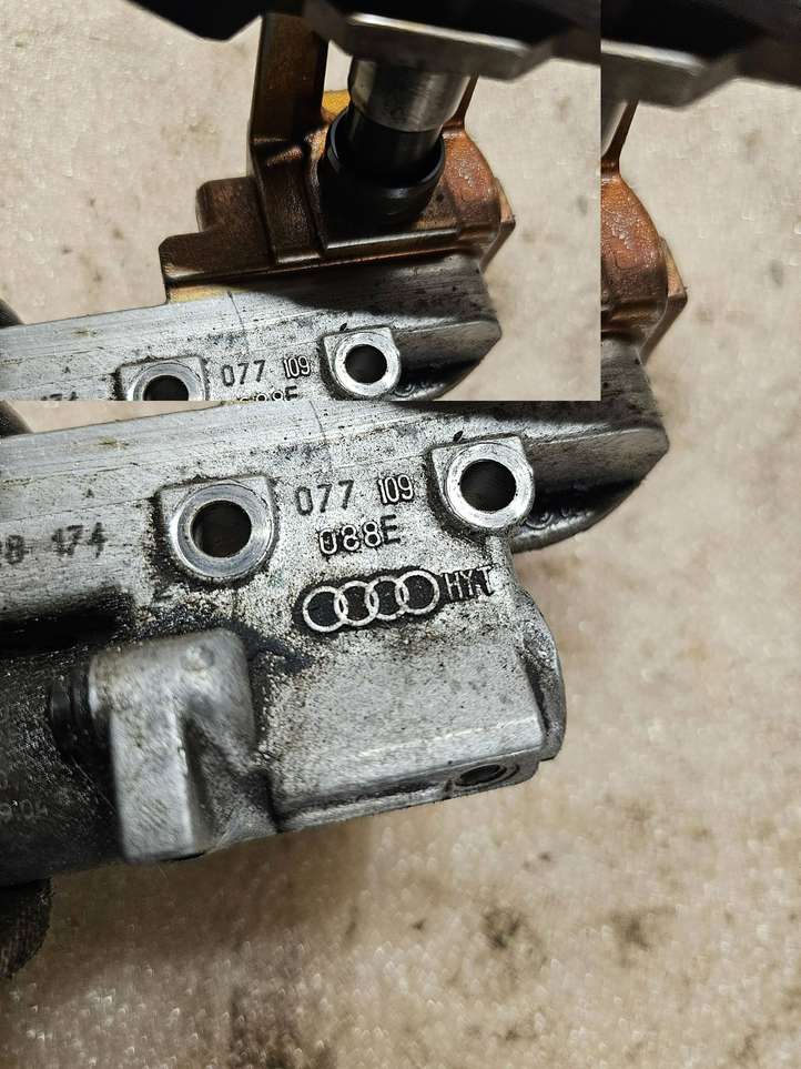 Audi A8 (1999 - 2002)  077109088e Устройство натяжки распределительного ремня / цепи