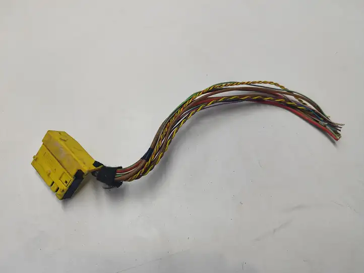 BMW X5 E70 (2006 - 2013) 695458801 Прочая электропроводка — фото 1