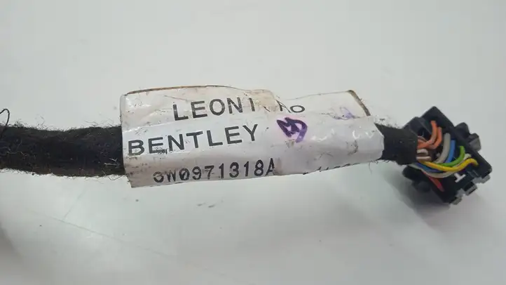 Bentley Continental (2003 - 2017) 3W0971318A Прочая электропроводка — фото 4