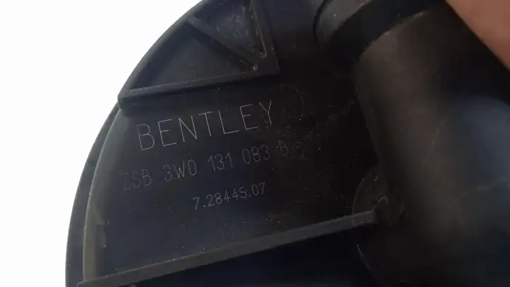 Bentley Continental (2003 - 2017) 3W0131083B Насос вторичного воздуха — фото 3