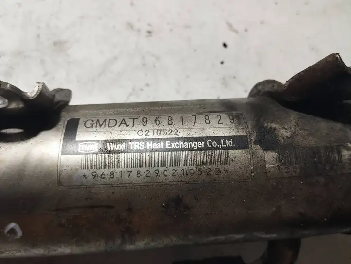 Chevrolet Captiva (2006 - 2011) 96817829c210522 Охладитель клапана EGR — фото 4