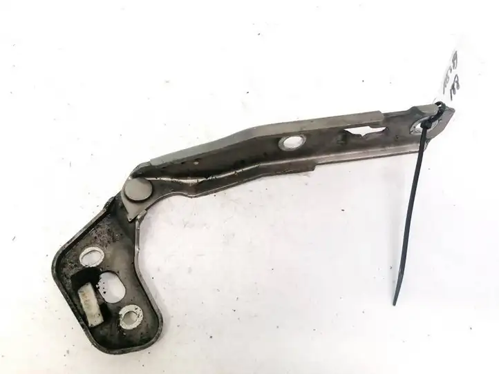 Audi A6 S6 C6 4F (2004 - 2008) 4F0823301 Петли капота — фото 1