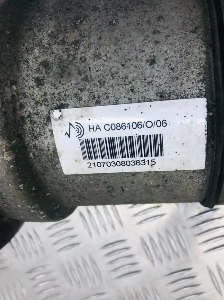 Mercedes-Benz S W221 (2005 - 2013) C086106 Задний амортизатор (пневмоподвеска) — фото 4
