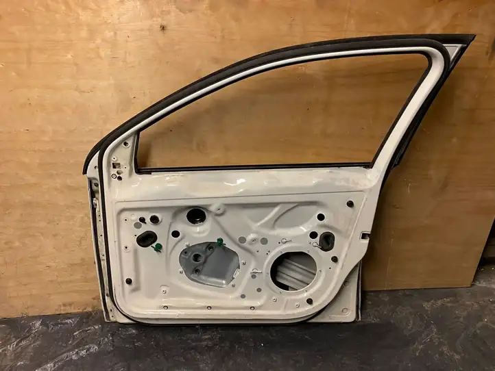 Volkswagen Golf V (2003 - 2009) Дверь — фото 10