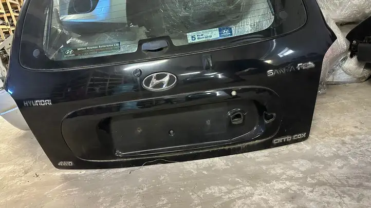 Hyundai Santa Fe (2000 - 2005) Крышка багажника — фото 3