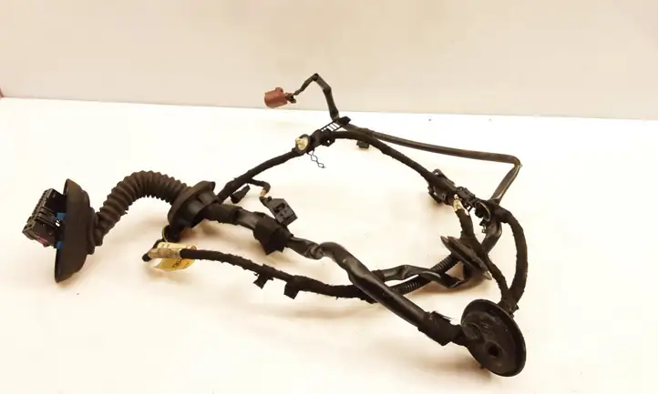 Audi A8 S8 D3 4E (2005 - 2007) 4E0971029D Проводка передней двери — фото 2