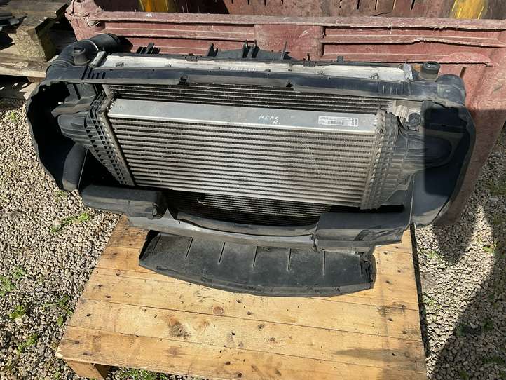 Mercedes-Benz R W251 (2005 - 2013)  A2515000304 Комплект радиаторов