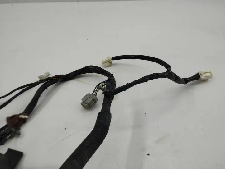 Nissan X-Trail T30 (2001 - 2007) 24125eq400 Проводка передней двери — фото 3
