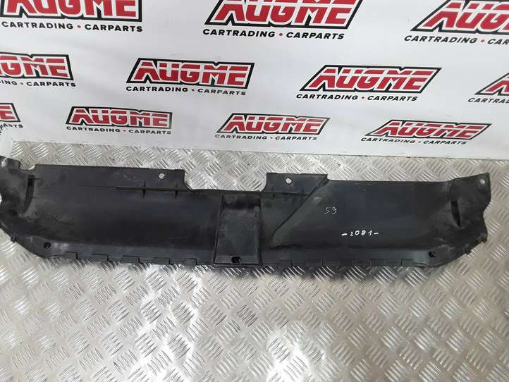 Audi A4 (2007 - 2011)  8K0807081 Верхняя часть панели радиаторов (телевизора)