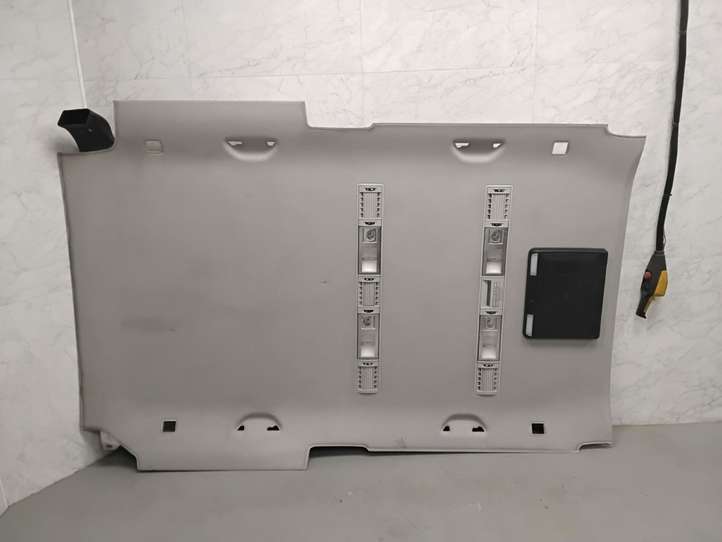 Volkswagen Multivan T5 (2003 - 2015)  7H5867499 Потолок