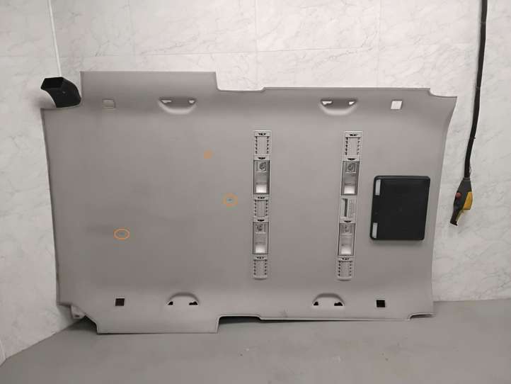 Volkswagen Multivan T5 (2003 - 2015)  7H5867499 Потолок