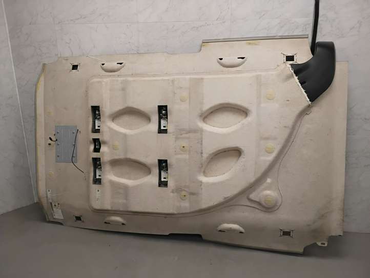 Volkswagen Multivan T5 (2003 - 2015)  7H5867499 Потолок